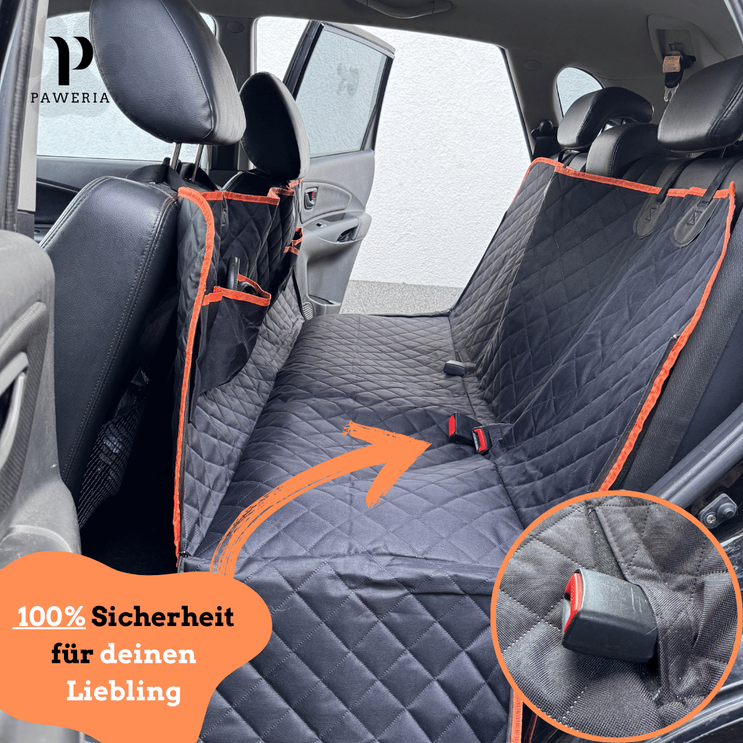 Premium Rücksitzschutz