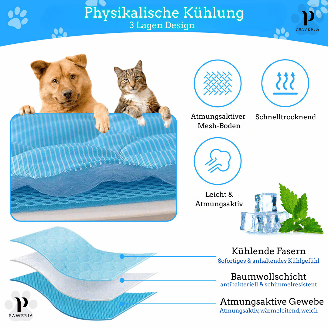 Schütze deinen Hund vor Hitze!