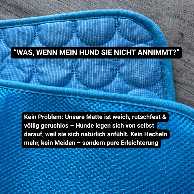 Schütze deinen Hund vor Hitze!