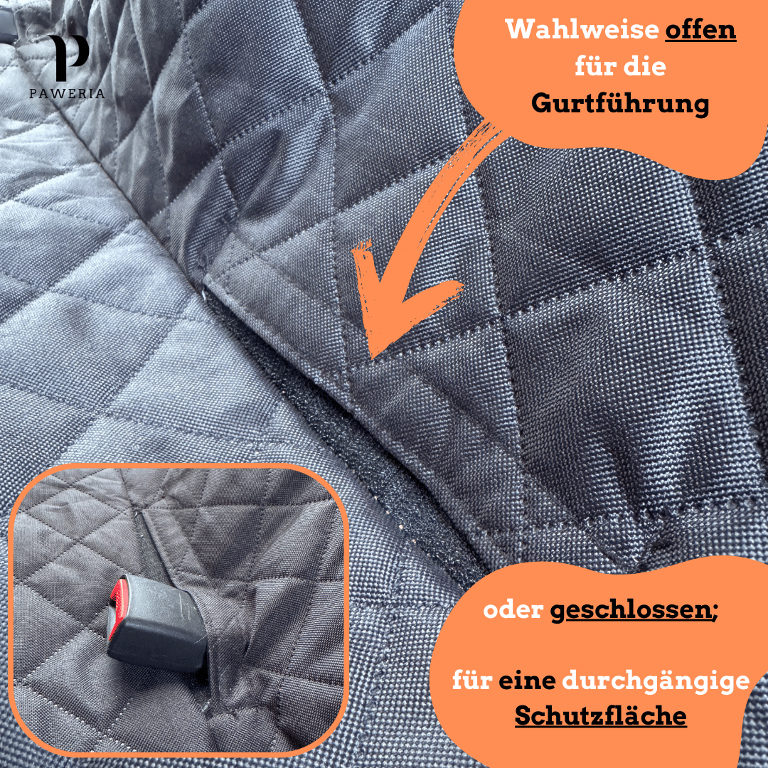 Premium Rücksitzschutz