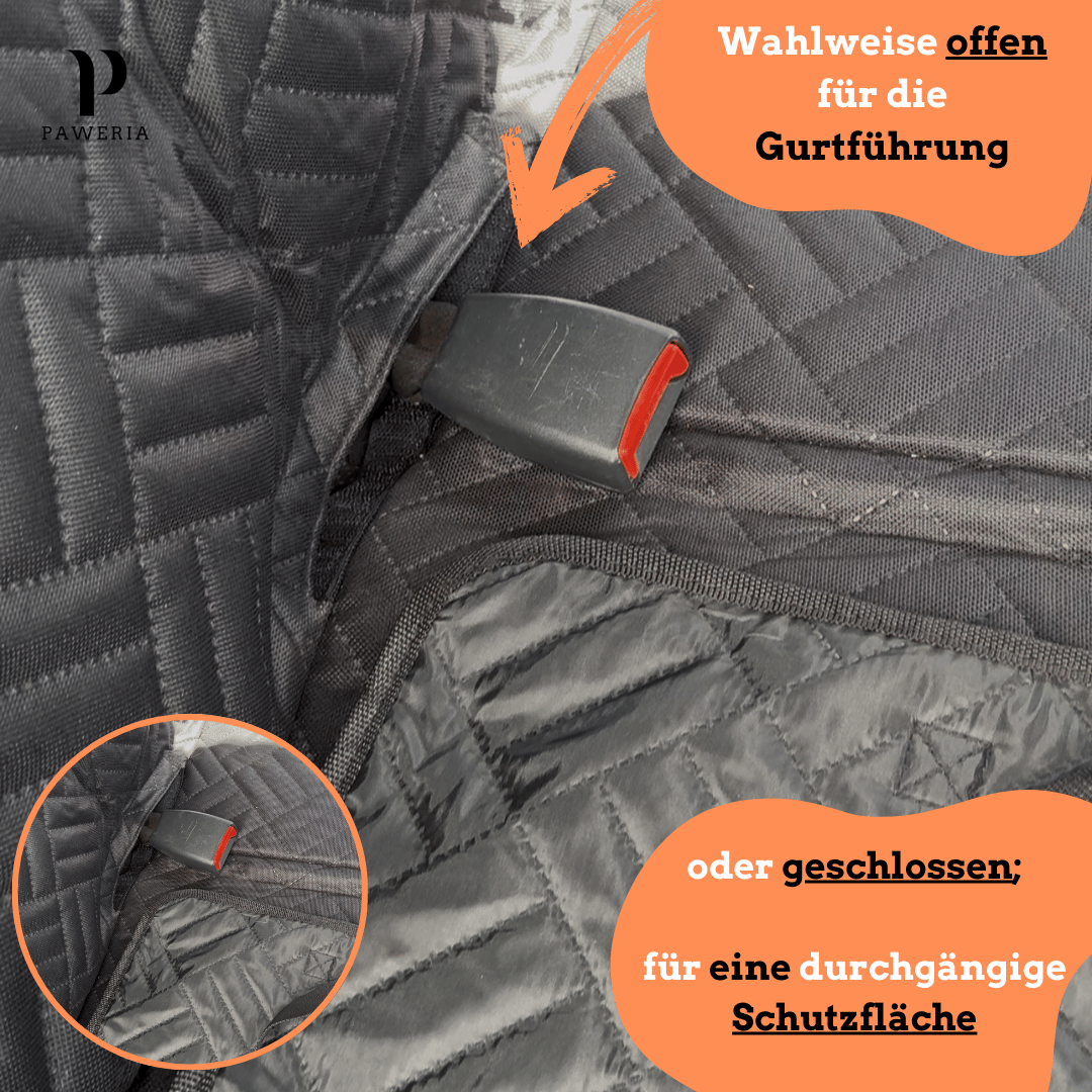 PawSecure™