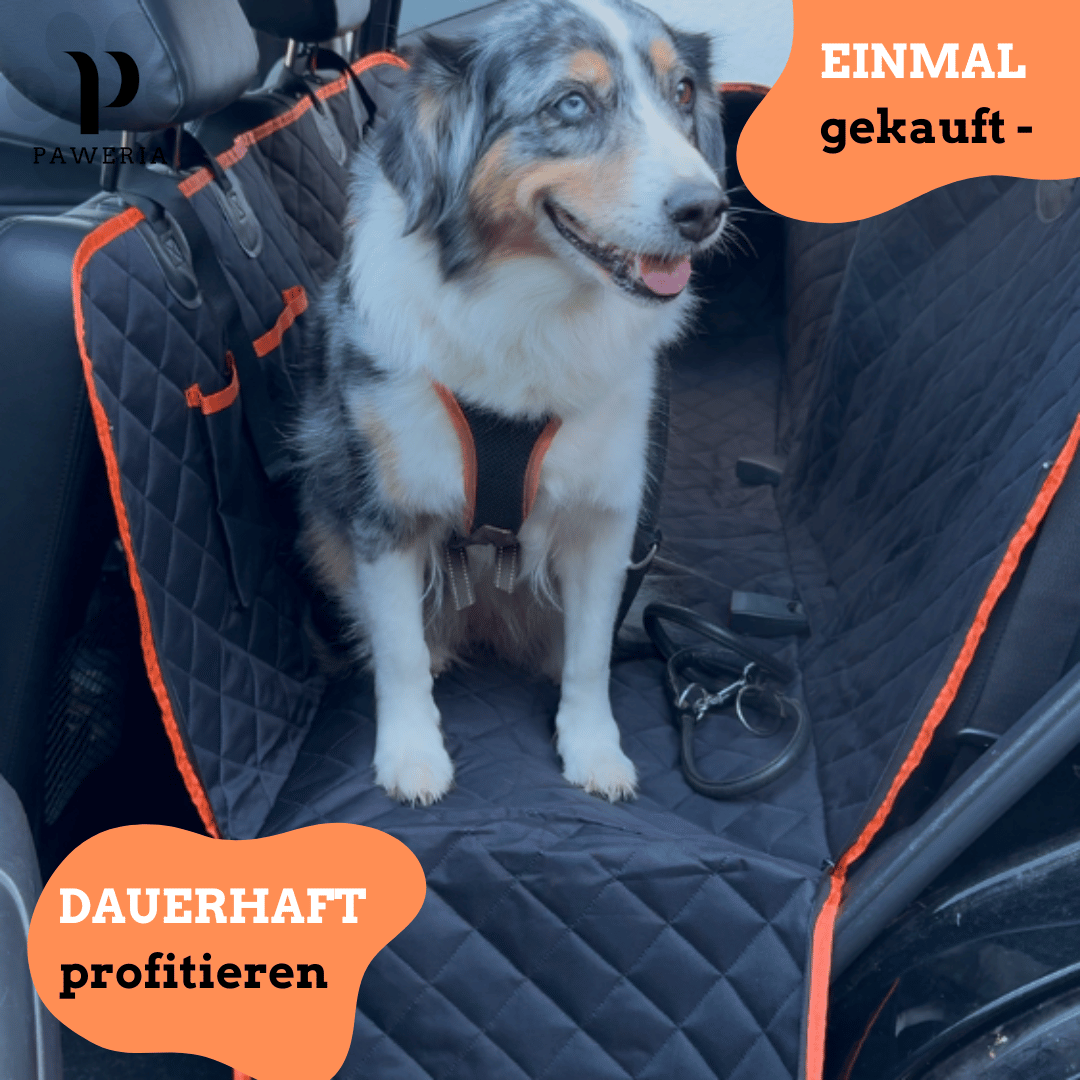 Premium Rücksitzschutz