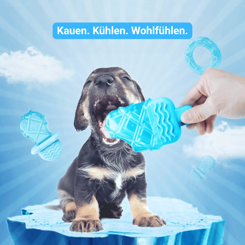Die perfekte Ergänzung zur Paweria-Kühlmatte
