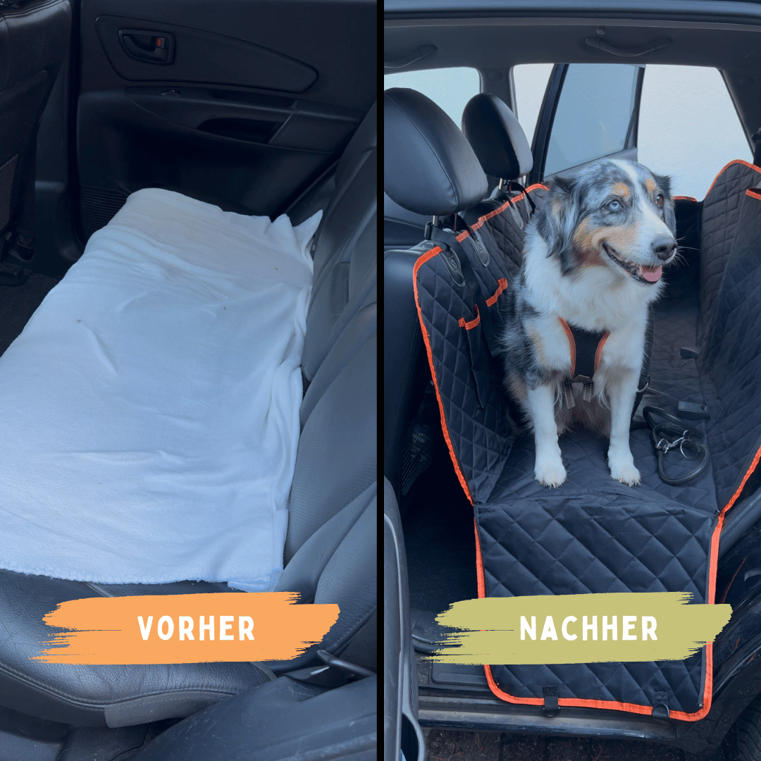 Premium Rücksitzschutz