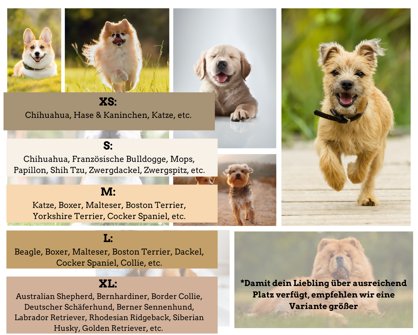 Hundekissen (mit Rundumschutz)