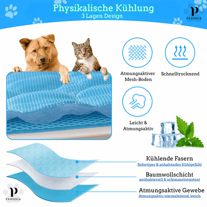 Schütze deinen Hund vor Hitze!