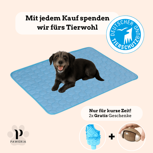 Schütze deinen Hund vor Hitze!