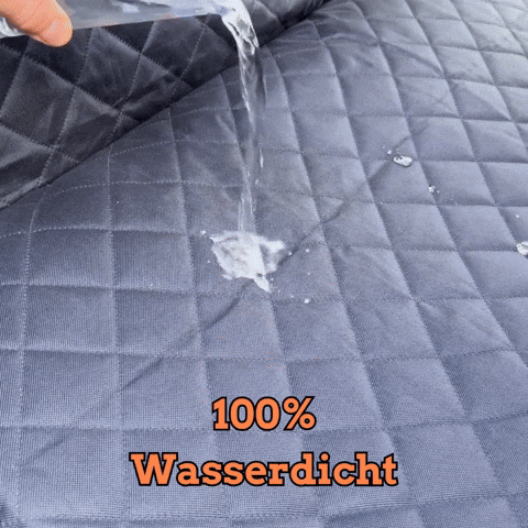 Sicherheits-Auto-Schutz