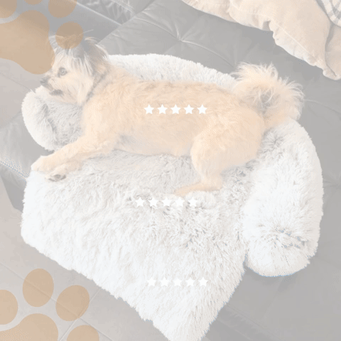 Hundekissen (mit Rundumschutz)